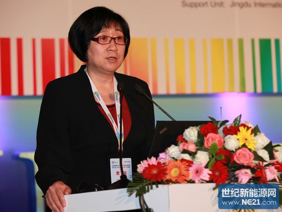 周晓燕详解中欧光伏谈判细节 寸土必争_专业光