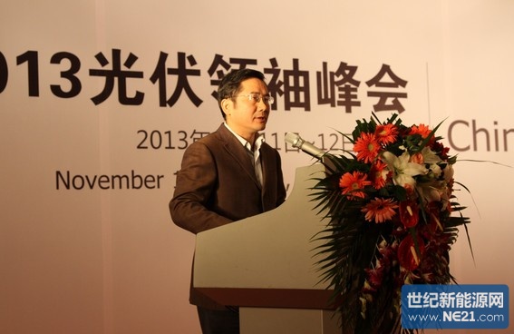 国家能源局副司长何勇健:中国绿色电力发展的