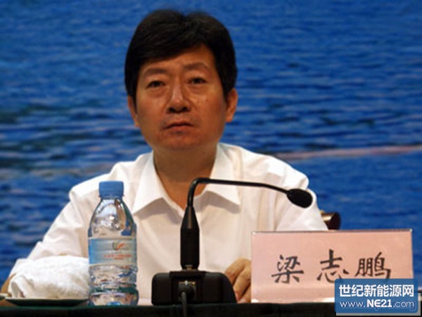 国家能源局新能源与可再生能源司副司长梁志