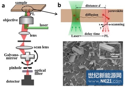 科院大连化物所钙钛矿单晶中光生载流子扩散动