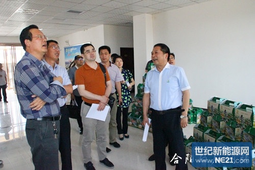 陕西合阳:国家现代农业光伏产业协同创新战略