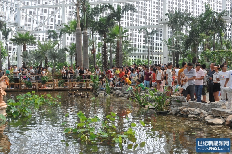 加大应用端开发 英利光伏+拓出发展新空间_