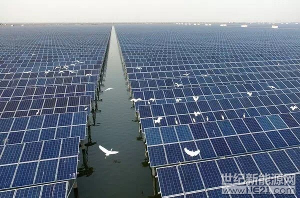 两淮领跑者基地200MW水面光伏电站是如何建成的?