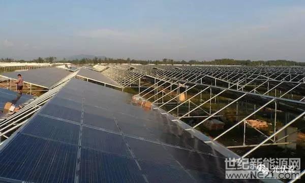 农业搭配光伏并非炒概念 四大模式足见发展前