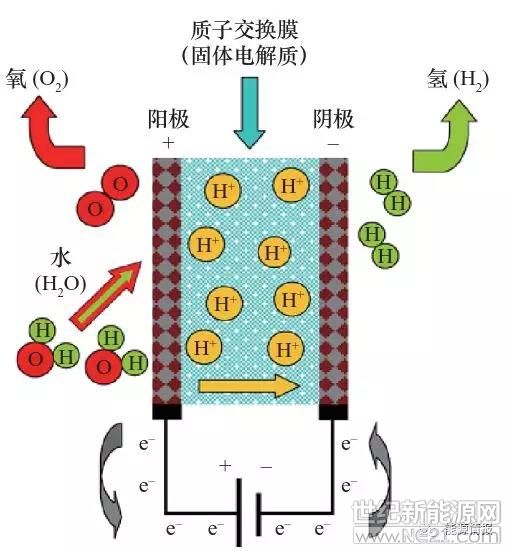 阴阳极气体扩散层,阴阳极催化层和质子交换膜等