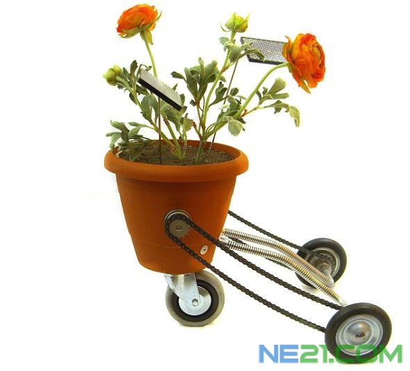 植物植物搭档是“未来”植物的一个原型。植物与太阳能电池板结合，可以让它们在花园里四处移动，获取阳光。搭档是“未来”植物的一个原型。植物与太阳能电池板结合，可以让它们在花园里四处移动，获取阳光。