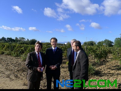孔泉参观葡萄园