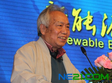张曙光：光伏困境原因之一在于政府扶持_世纪新能源网 Century New Energy Network
