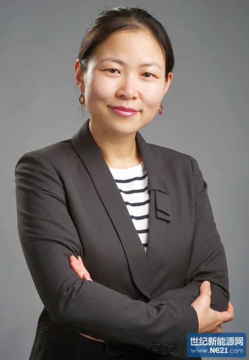 徐红艳  施耐德电气全球高级副总裁,施耐德电气(中国)有限公司能源