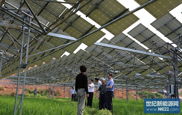 江西省开展农林光互补光伏发电联合调研