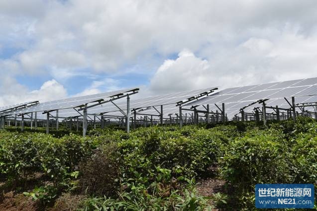 西双版纳州勐海县光伏农业发电项目建设进展顺利