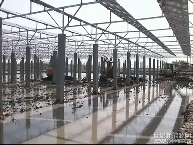 图片1