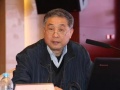 王勃华：全球光伏市场呈去中心化形式 中国应警惕产能过剩