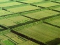 专访：光伏圈最神秘组织——固德威太阳能学院