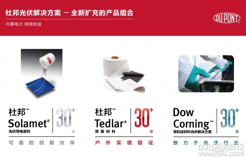 杜邦