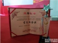 因能三大产品获评SNEC十大亮点 航天高效电站斩获吉瓦级金奖！