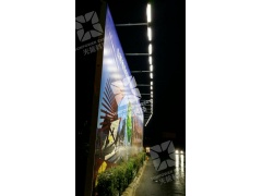 户外太阳能LED射灯图2