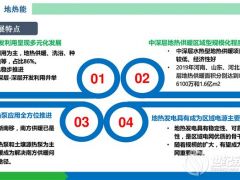 中国可再生能源发展报告2019