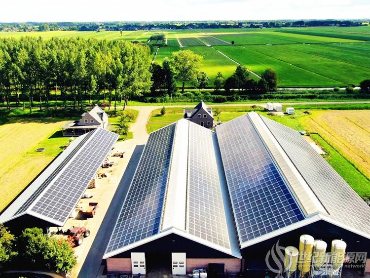 古瑞瓦特助力光伏农业走红荷兰