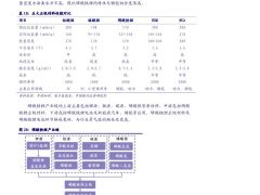 储能“十四五”发展专题报告：或在新能源及5G领域率先落地