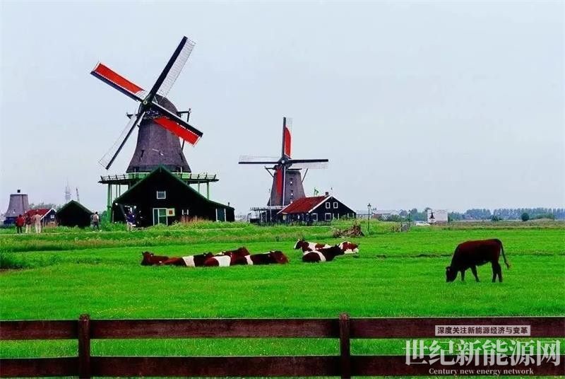 远赴荷兰，感受牧场之国的光伏魅力