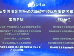 实至名归！赛拉弗荣膺“新华信用金兰杯”ESG优秀案例奖