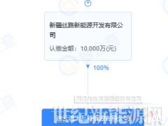 又一国有控股企业布局HJT电池及组件