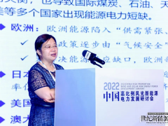 “新能源·新技术·新发展”第二届中国高比例风光新能源电力发展研讨会在京成功举办
