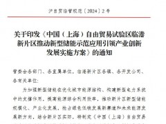 用户侧储能奖励0.2元/Wh！上海临港发布新型储能重磅文件！