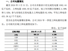 国电电力2024年一季度光伏装机达917.69万千瓦