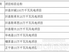 配套储能不低10%/2h！甘肃庆阳1.9GW风电项目竞配