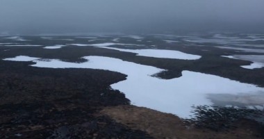 生物多样性与能源革命