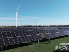 晶科能源提供740MW N型用于恒源新能绿色数据中心