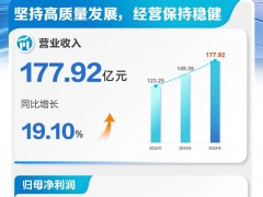 营收177.9亿元、新增订单超过20GW！一图看懂三一重能2024年年报