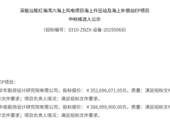 深能红海湾六海上风电项目海上升压站及海上补偿站EP项目开标