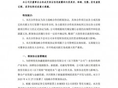 聚焦于新能源领域优质资产开发与投资！协鑫能科与专业投资机构签署战略合作框架协议