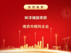 创新不止 奔跑不息 | 林洋储能荣膺南京市瞪羚企业，厚植新质生产力