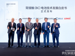 爱旭隆基炼成光伏“回春丹”，BC技术顶峰相见