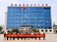 5.04MW微逆BIPV项目并网！昱能科技助力制盐业绿色低碳转型