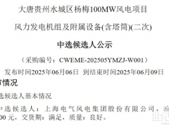 电气风电中标大唐贵州水城区杨梅100MW风电项目