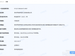 贵州某风电公司被罚20万元