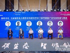 金风零碳孙悦 | 让储能回归价值本质，知行合一