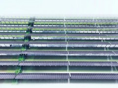 红太阳说丨一汪碧水“两本账”，红太阳“渔光互补”照亮安徽乡村振兴绿色发展路