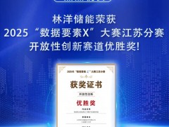 林洋储能荣获2025“数据要素X”大赛江苏省分赛开放性创新赛道优胜奖