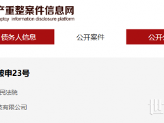 北京一光伏企业被申请破产