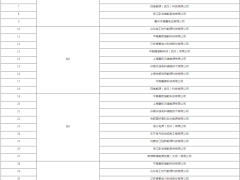 119家企业入围,中国电气装备2025年储能集采中标候选人公示!