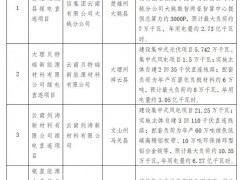 云南435MW绿电直连项目清单公示：中国移动、银星能源等入选