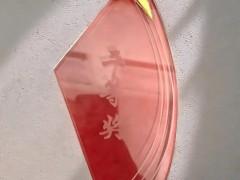 一线风采 | 林洋智维项目团队斩获竞赛大奖，赢得政府通报表扬