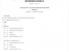 中标 | 0.7555元/W，华电510MW光伏组件采购中标结果公示