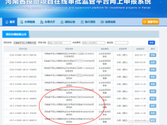 “全网最忙五人组”现身光伏项目名单